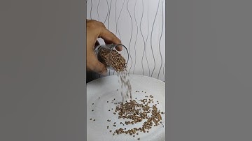 Do you like the sound of this coriander? (Reverse video) #shorts #reverse #satisfying #asmr