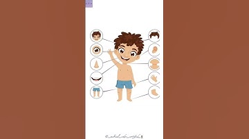 Anatomy Concepts| Shorts| Medical Coding and Billing| @medicalcodercertified