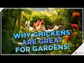 Chickenpowered gardens 14 ways chickens enrich your backyard and the environment