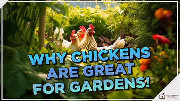 Chicken-Powered Gardens: 14 Ways Chickens Enrich Your Backyard and The Environment