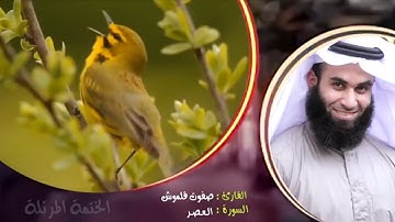 سورة العصر | الختمة المرتلة | القارئ صفوت قلموش .HD