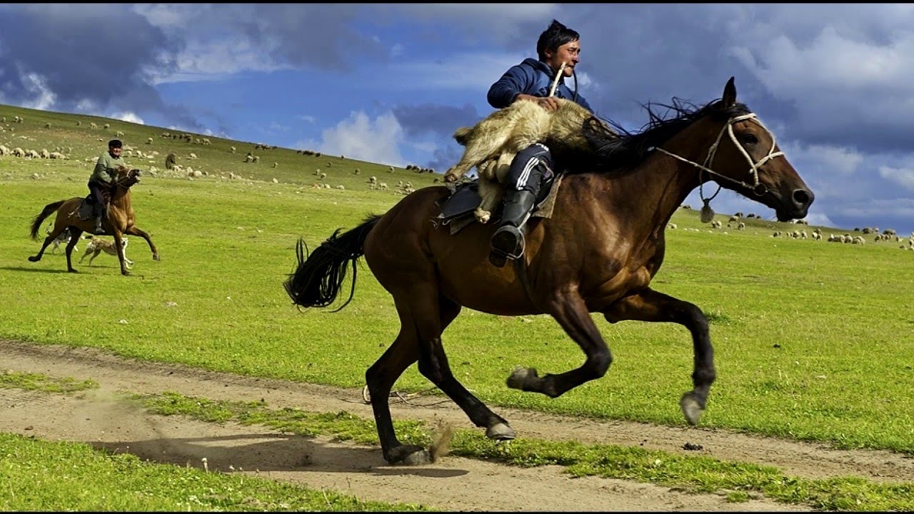 Лихой наездник. Казах на лошади. Казахи на конях. Всадник на коне. Казахская лошадь.