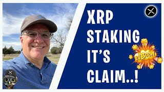 XRP David Schwartz Debunks 
