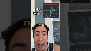 3 Reasons Why Shiba Inu Will Go Parabolic This Year #shiba