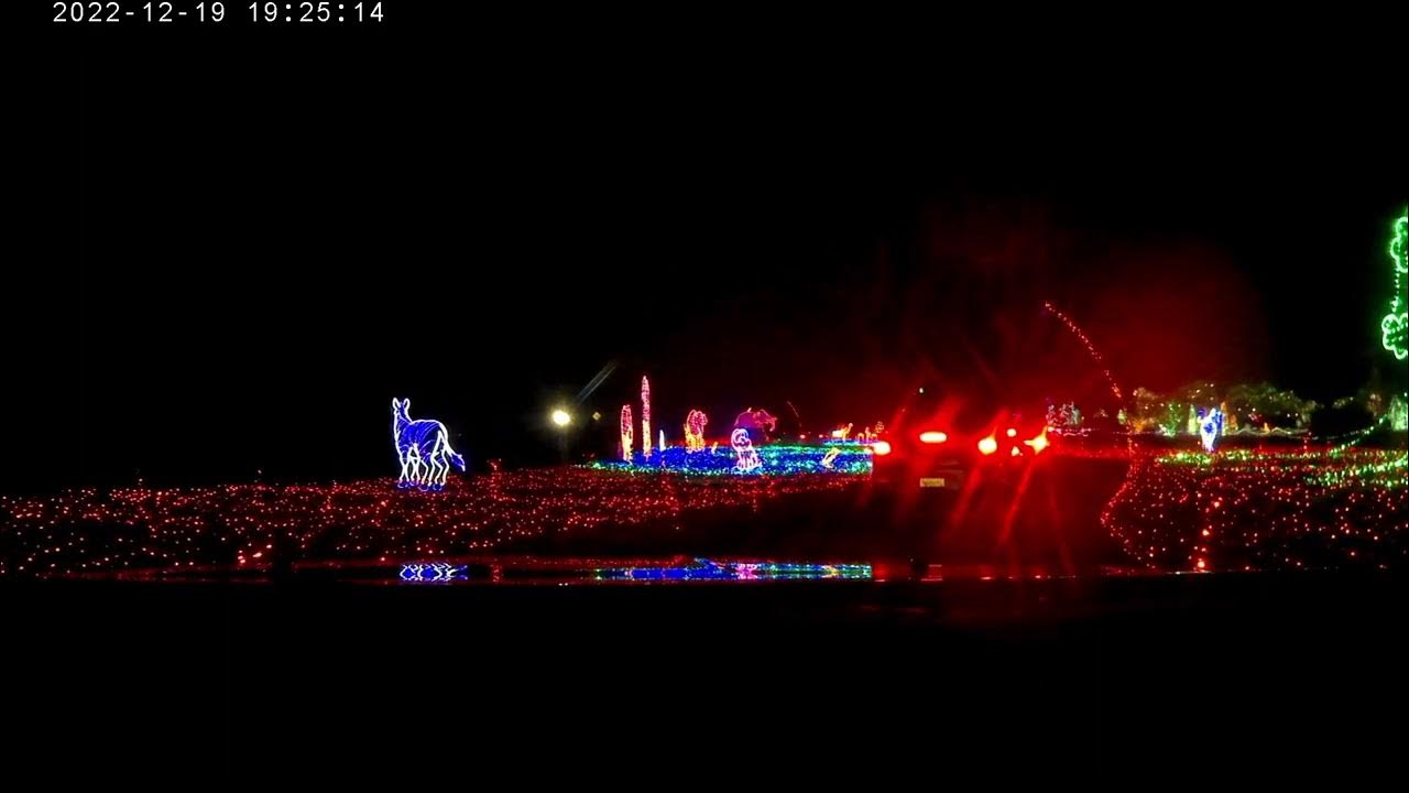 Calm Christmas Lights 