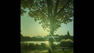 Todicavlad - Contemplation