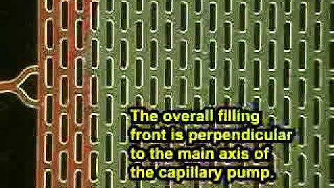 Capillary pumps 1a