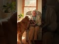 Silent Companionship 🐾 — Love That Needs No Words
