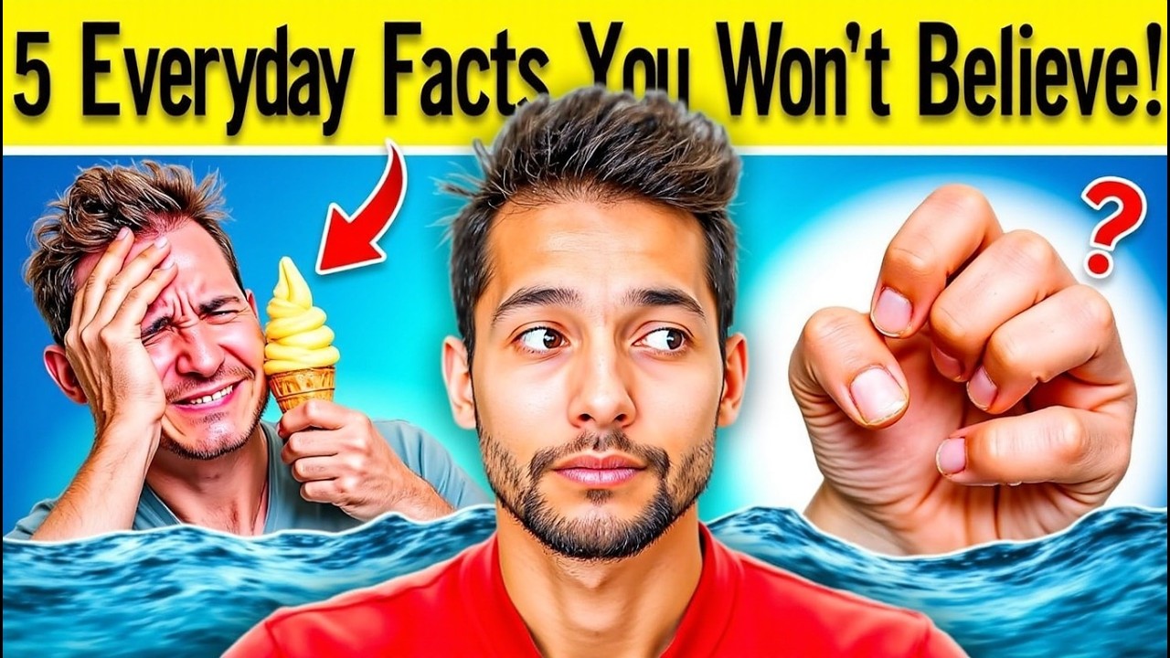 5 Everyday Facts You Never Knew! YouTube