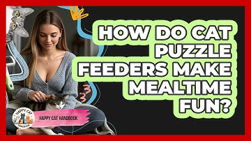 How Do Cat Puzzle Feeders Make Mealtime Fun? - Happy Cat Handbook