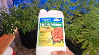Fertilizer from Home Depot for cannabis plants...😊👌