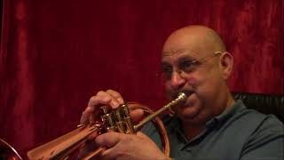 Moonlight Serenade - Glen Miller 1939 (Jazz Lounge Cover by Seby Breath)