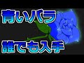 【あつ森】青バラ入手法(交配手順)【２分でわかる】(Blue rose)