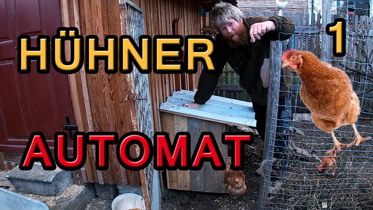 Hühnerfutterautomat 1