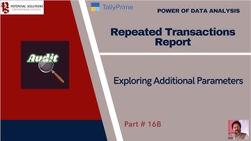 Exploring Additional Parameters of Repeated Transactions for Audit