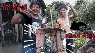 Sfc 2 ตกปลาดกรมแมนำเจาพระยา ตามบานคนรมแมนำ