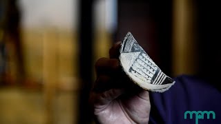 Artifact vs. Specimen