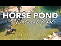 Piscines naturelles pour chevaux  sans chlore  filtration biologique aquascape swim pond