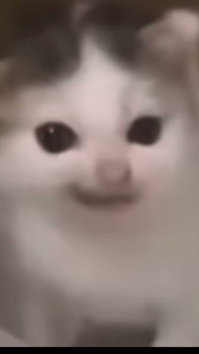 Adolf kitler