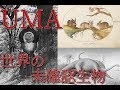 【ゆっくりと見る】世界の未確認生物（UMA）たち【ゆっくり解説】