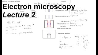 Electron Microscopy - Lecture 2 - Main structure of a SEM