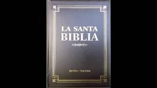 La Biblia Reina Valera 1960 Descarga Gratis en PDF screenshot 5