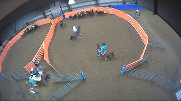 Big Sky Ranch Sorting Saddle Series #3 - #10 H/C - Round #1 - Ride #14