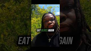 The Truth About Growing Olives