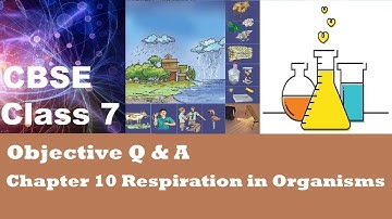 CBSE Class 7 Science objective MCQs question answer Chapter 10 Respiration in Organisms