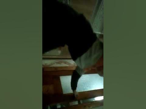 долг верни #shorts - YouTube