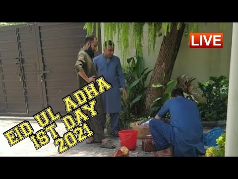 Video: Was ist das Datum von Eid al-Adha im Jahr 2021?