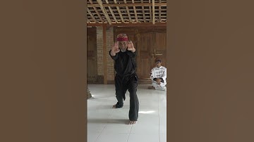 Pencak Silat, an Indigenous Martial Art of Indonesia