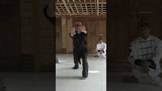 Pencak Silat, an Indigenous Martial Art of Indonesia