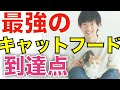 【DaiGo】猫好きは必見！DaiGoが1番オススメのキャットフード！ネコ愛が強すぎるDaiGoが自信を持ってオススメできる【Dラボ黙認_メンタリストDaiGo切り抜き】