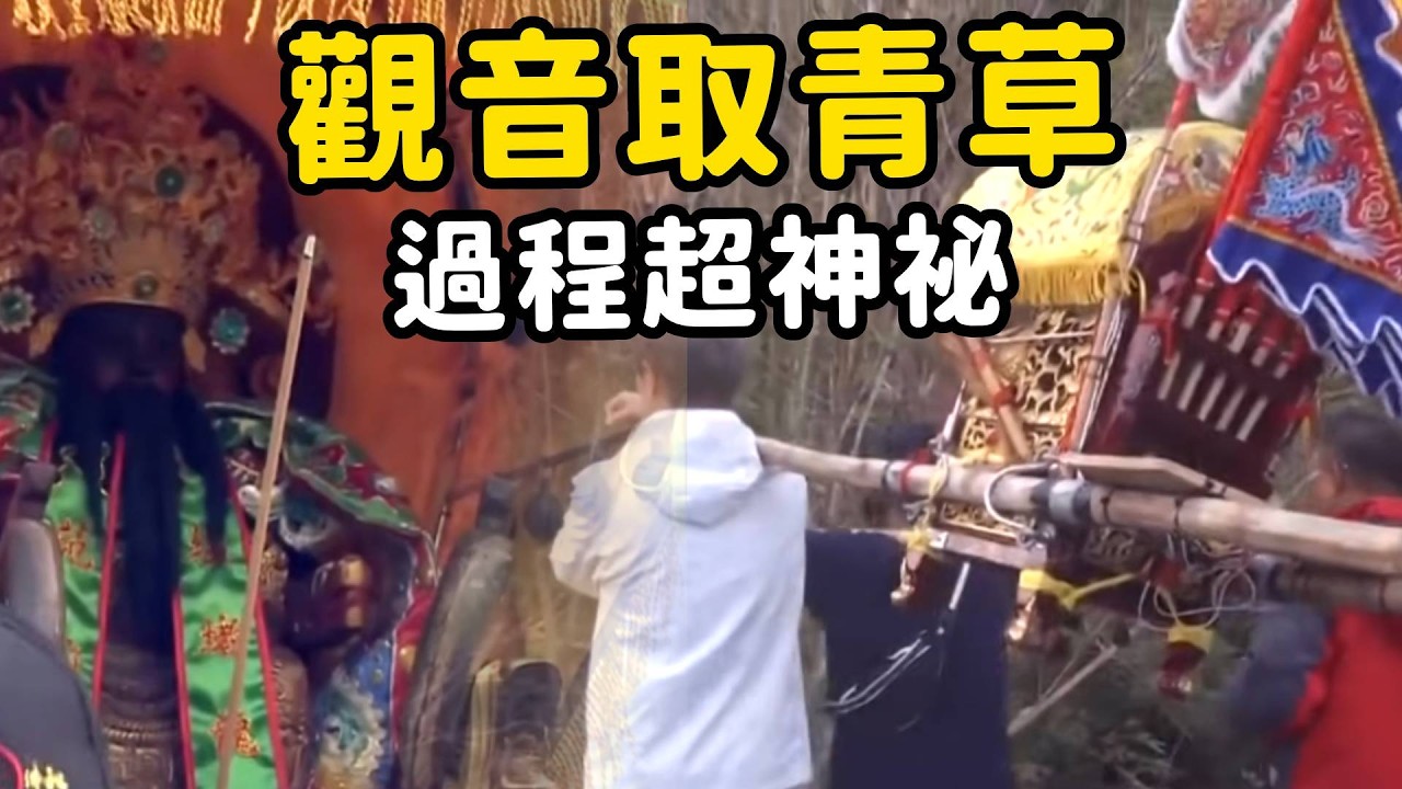 高雄小漁村的仙丹妙藥？竟然有觀音佛祖牌的青草茶！｜  寶島神很大online
