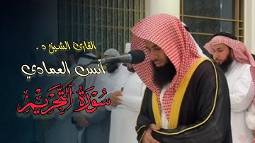 سورة التحريم تلاوة بأسلوب العذب والآسر بصوت الشيخ أنس العمادي | عشاء 8-8-1446 هـ