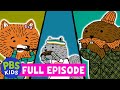 Carl the Collector Quiz