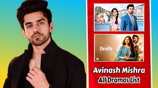 Avinash Mishra : All Drama Serials List l Top Superhit Dramas l Full Biography l Telly One l