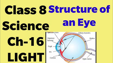 NCERT Class 8 Science Chapter 16 LIGHT | Structure of an Eye | Explanation in Hindi | lesson light |