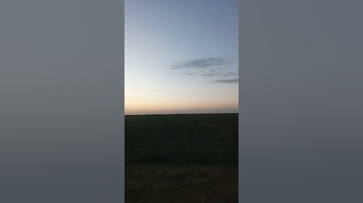 17 сентября 2024 г.