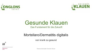 Mortellaro / Dermatitis digitalis