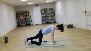 15 Minute Pilates Core & Spine Flow | Improve Posture, Strengthen Your Core & Move Better
