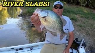 How I Find and Catch BIG Crappie in Rivers! / Eno River Crappie Fishing 2026