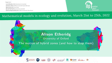 The motion of hybrid zones (and how to stop them)