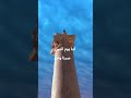 حكايتي معاك Idreesi 