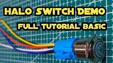Halo switch Demo Full Tutorial basic