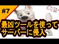 Metasploitを使いこなす!【サイバーセキュリティ入門#7】#サイバーセキュリティ #プログラミング #tryhackme