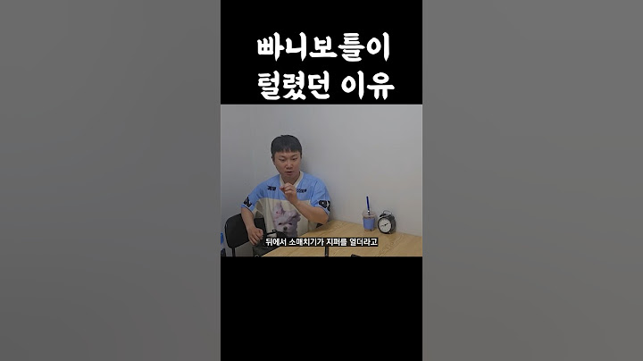 빠니보틀이 유럽에서 털렸던 이유ㄷㄷ