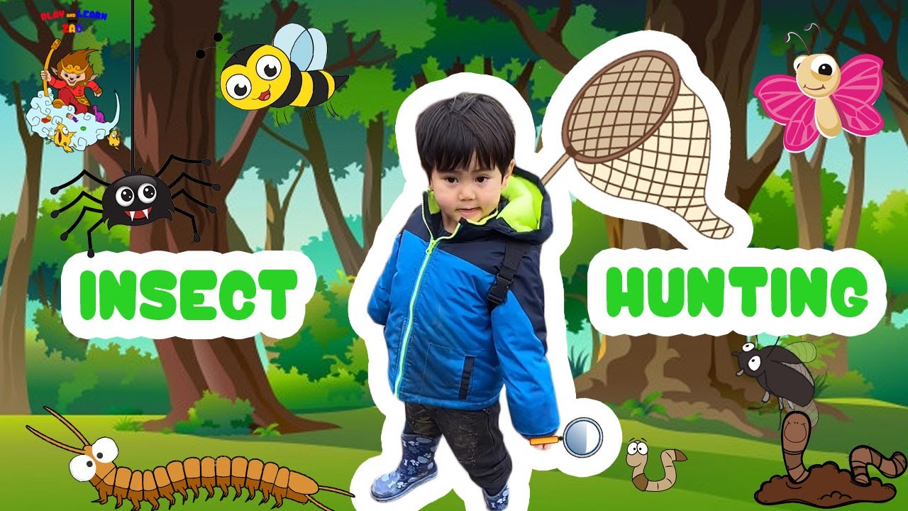 Zac explores the park to find insects to study