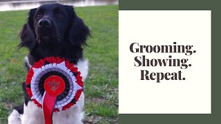DOG SHOW : Nantes 2019 // Stabyhoun by AndyWho11th 389 views 4 years ago 3 minutes, 56 seconds